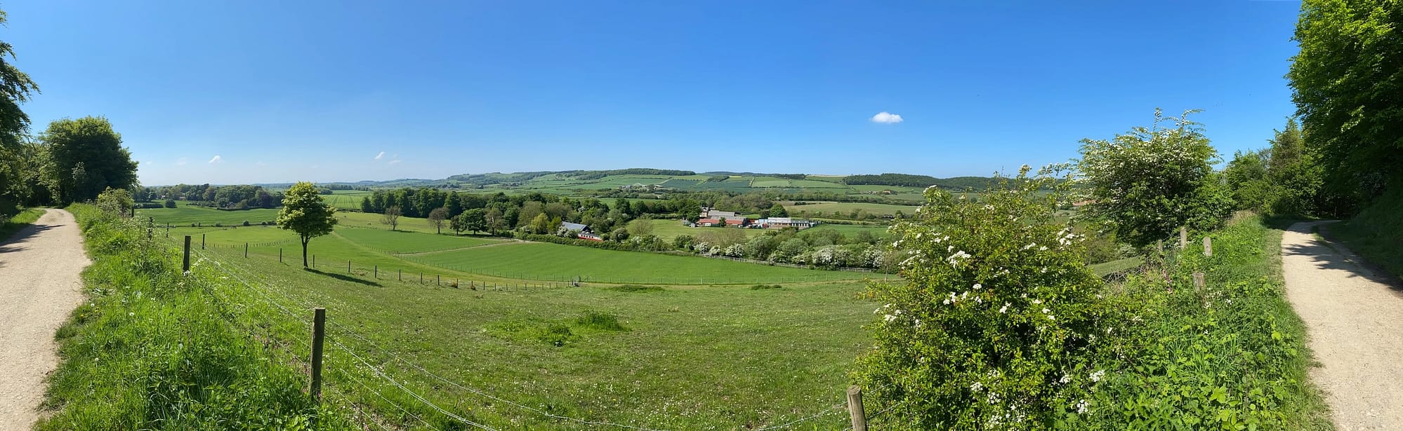 Panoramic From Guisbrough Woods