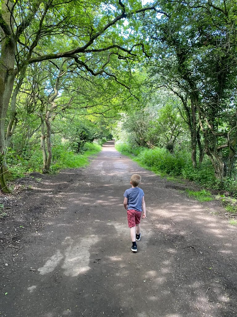 Alfie Walking In Flatts Lane Country Park