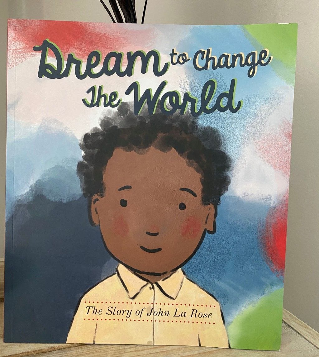Dream To Change The World Book Cover