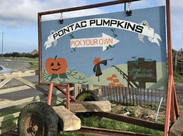 Pontac pumpkins sign