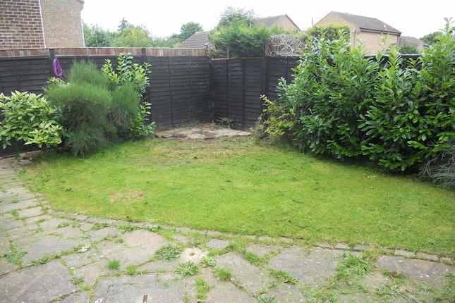 dull weed covered garden