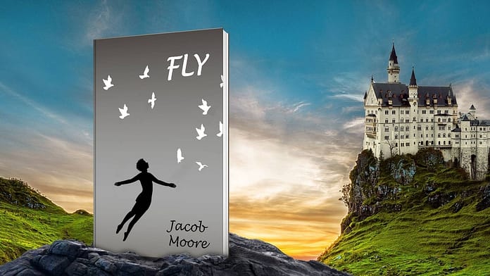 Fly By Jacob Moore Book Cover