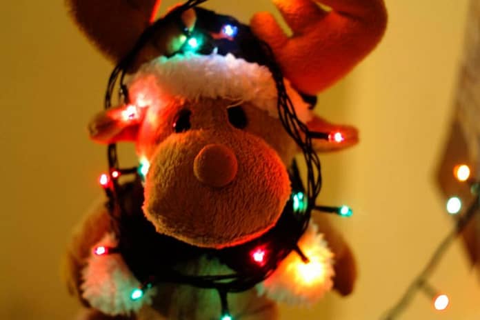 Reindeer with Christmas lights around its face